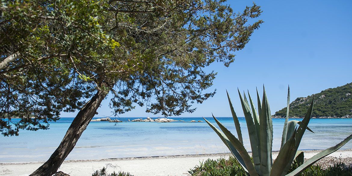 L'OASIS Santa Giulia