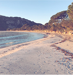 plage de Santa Giulia Porto-Vecchio