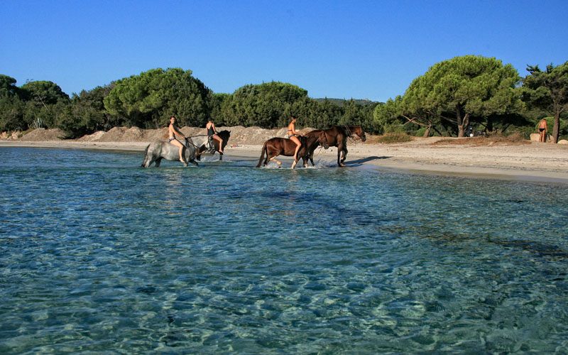 Cheval-Eric-Di-Marcantonio Balade à cheval plage Santa Giulia